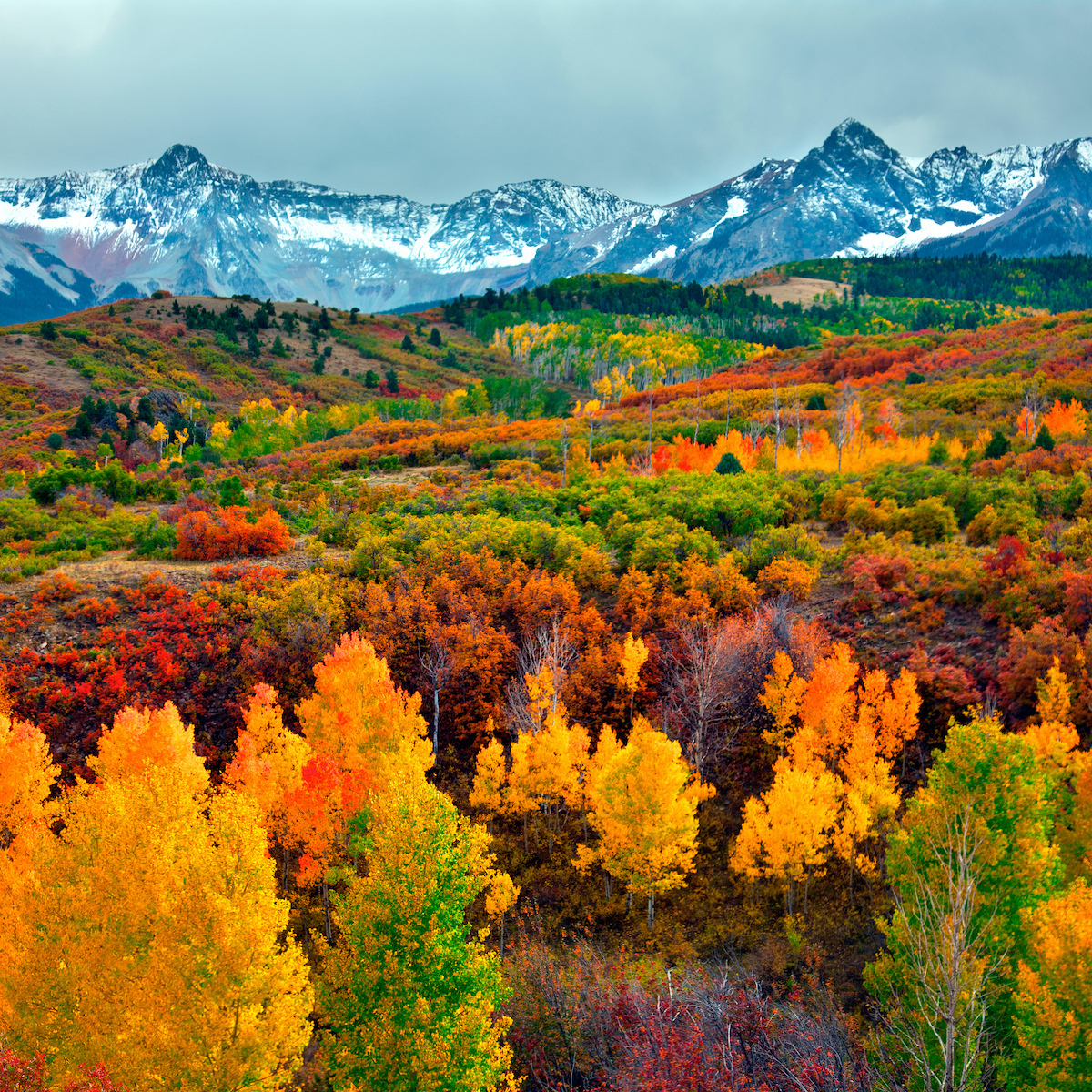 Best Place to Visit in Colorado in October