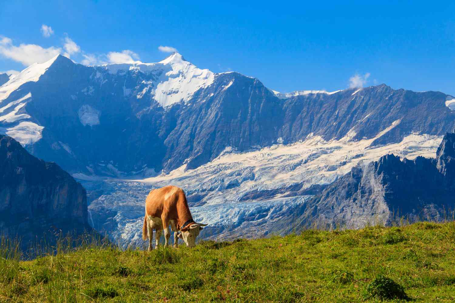 Best Places in Switzerland to Visit