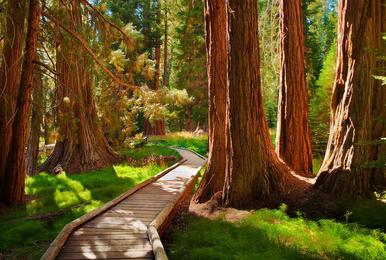 Best Places to Visit in California in June