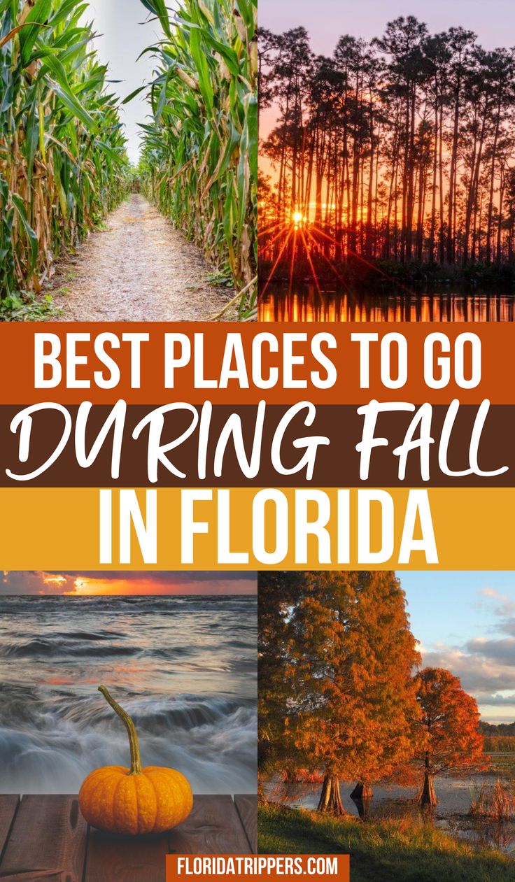 Best Places to Visit in Florida in October