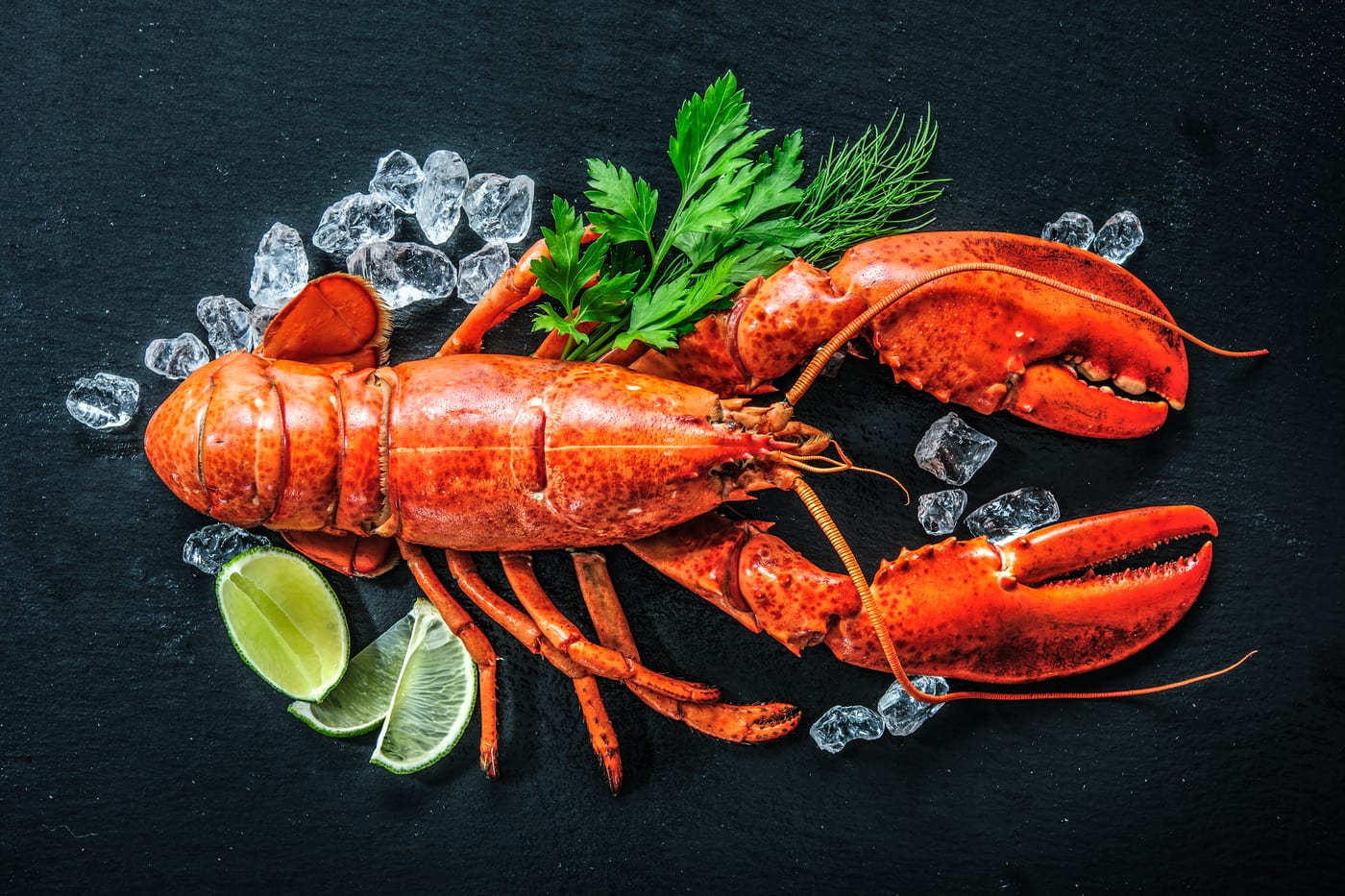 Best Places to Visit in Maine for Lobster