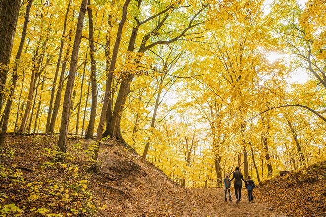 Best Places to Visit in Michigan in October