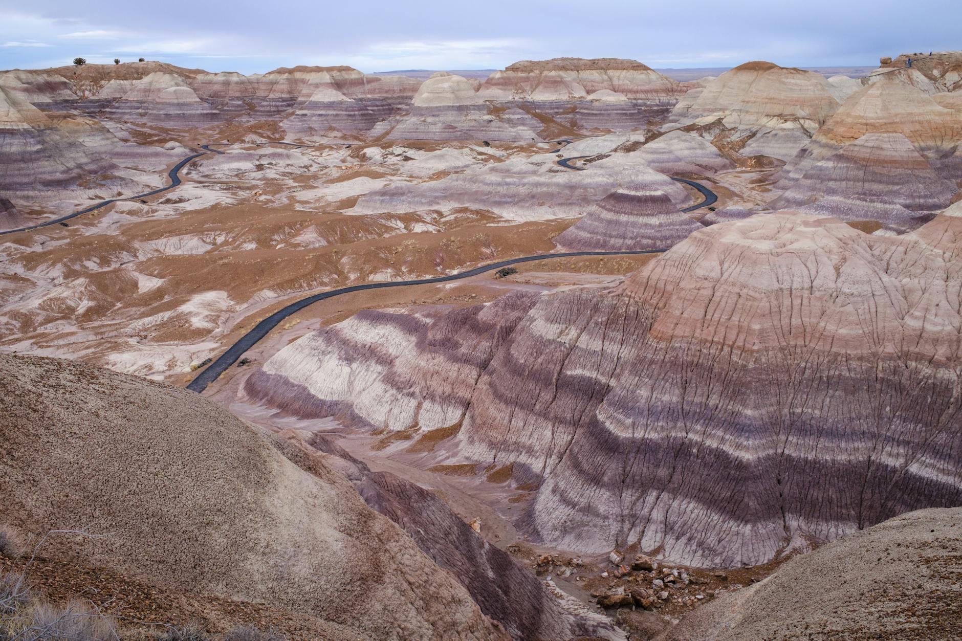 photo of petrified forest national park arizona usa