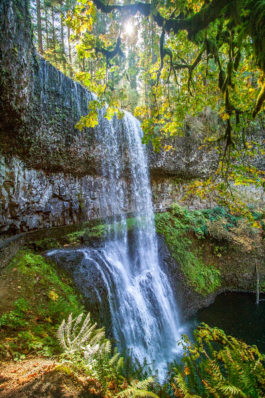 middle north falls in oregon silver falls state park