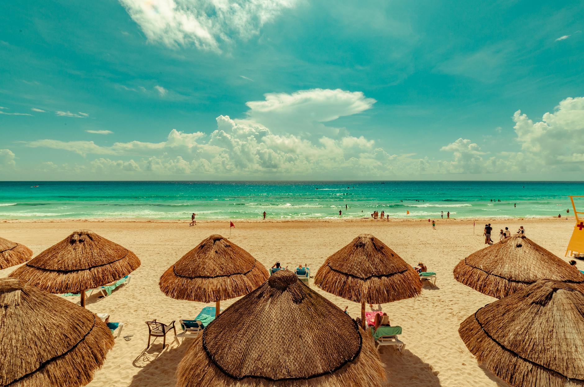 people at the beach