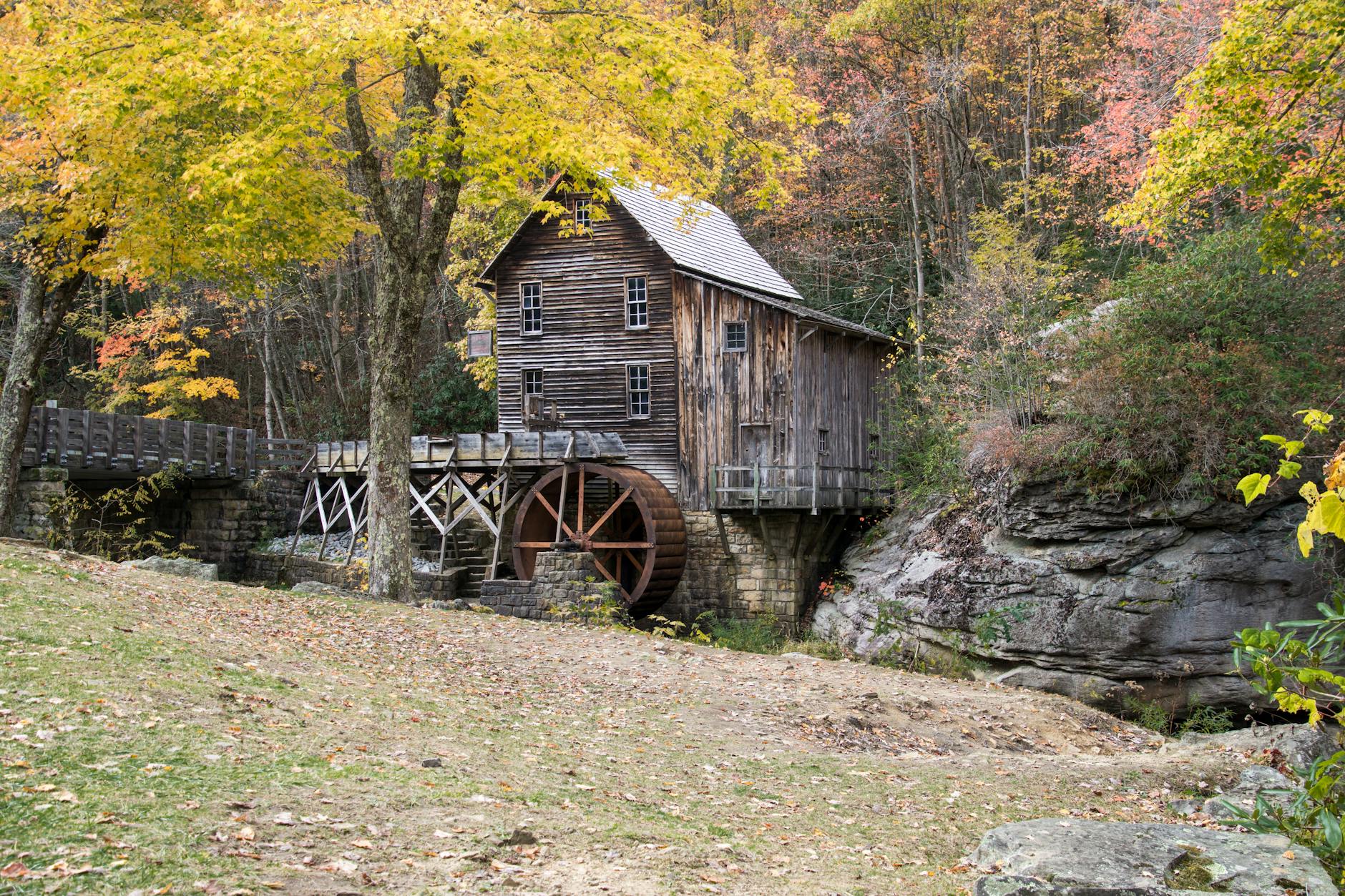 brown wooden house near yellow leaf trees