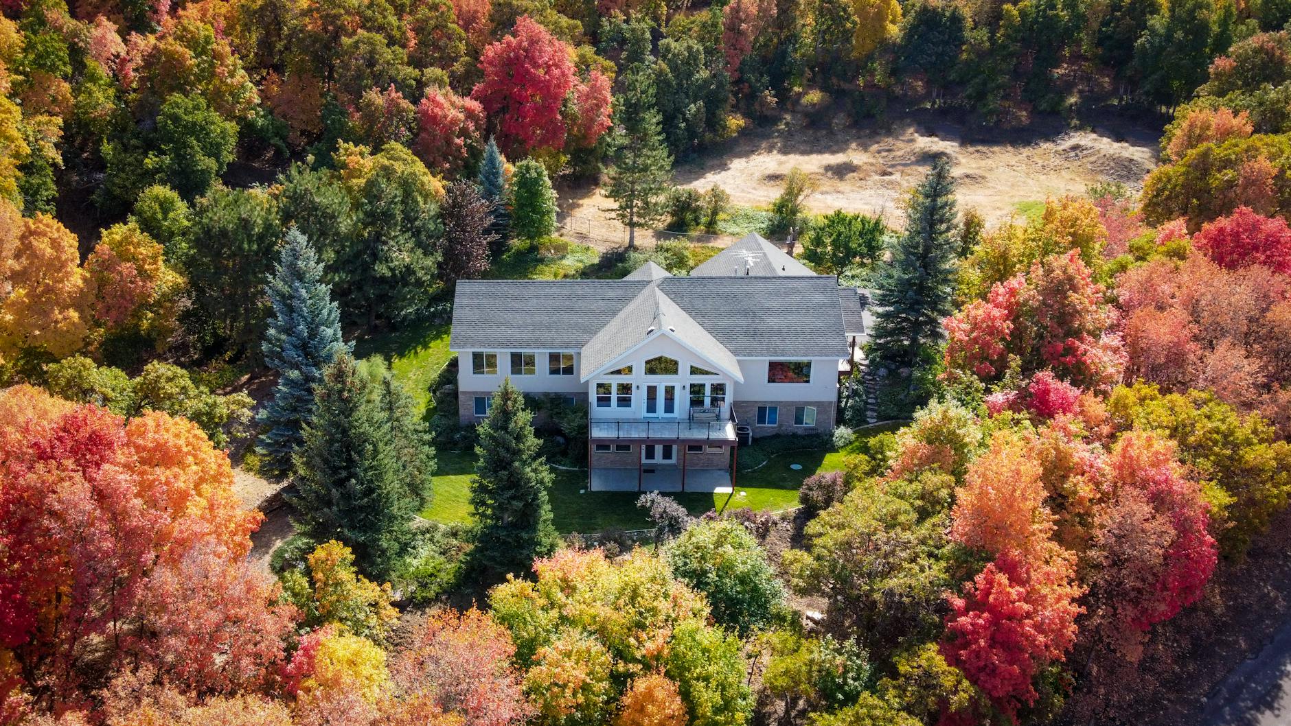 a house surrounded by trees