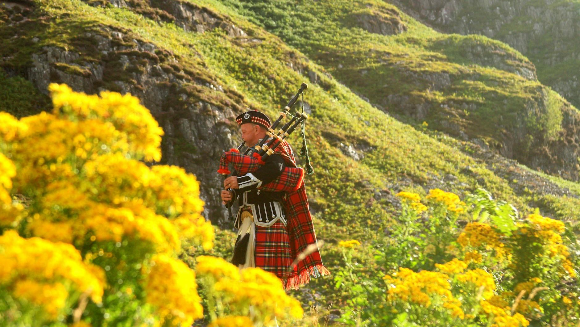 photo of a man in red black and white plaid traditional suit on yellow flower field