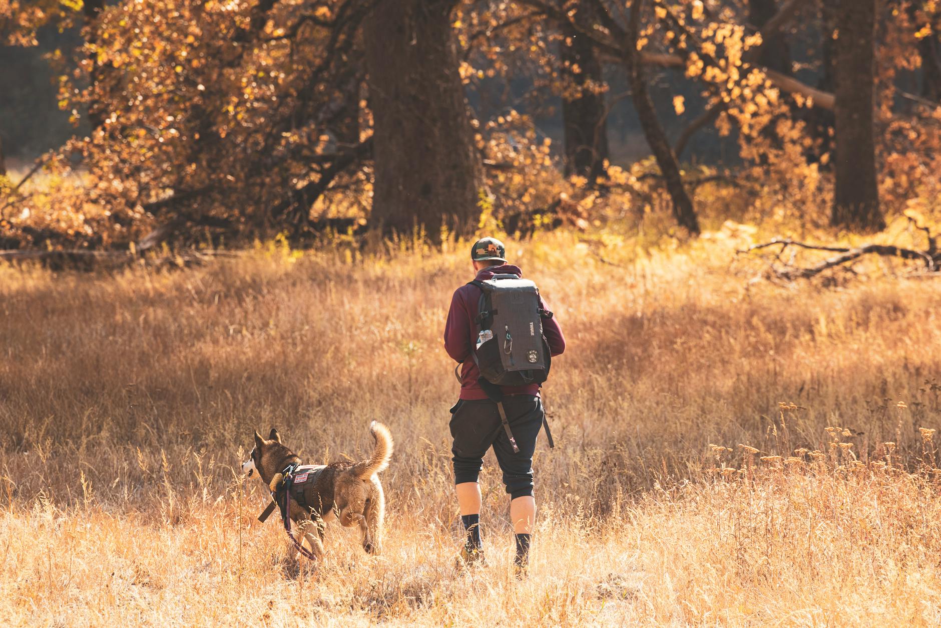 outdoor hiking adventure in autumn forest