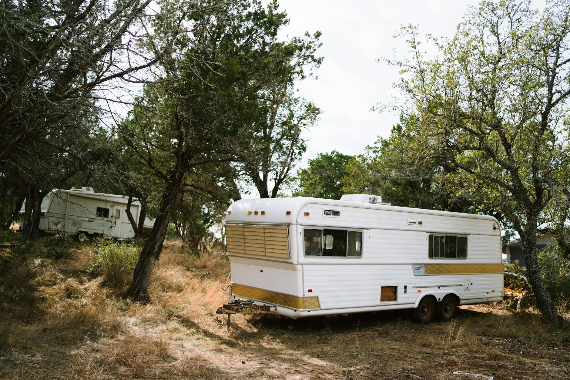 white and brown rv trailer near green trees